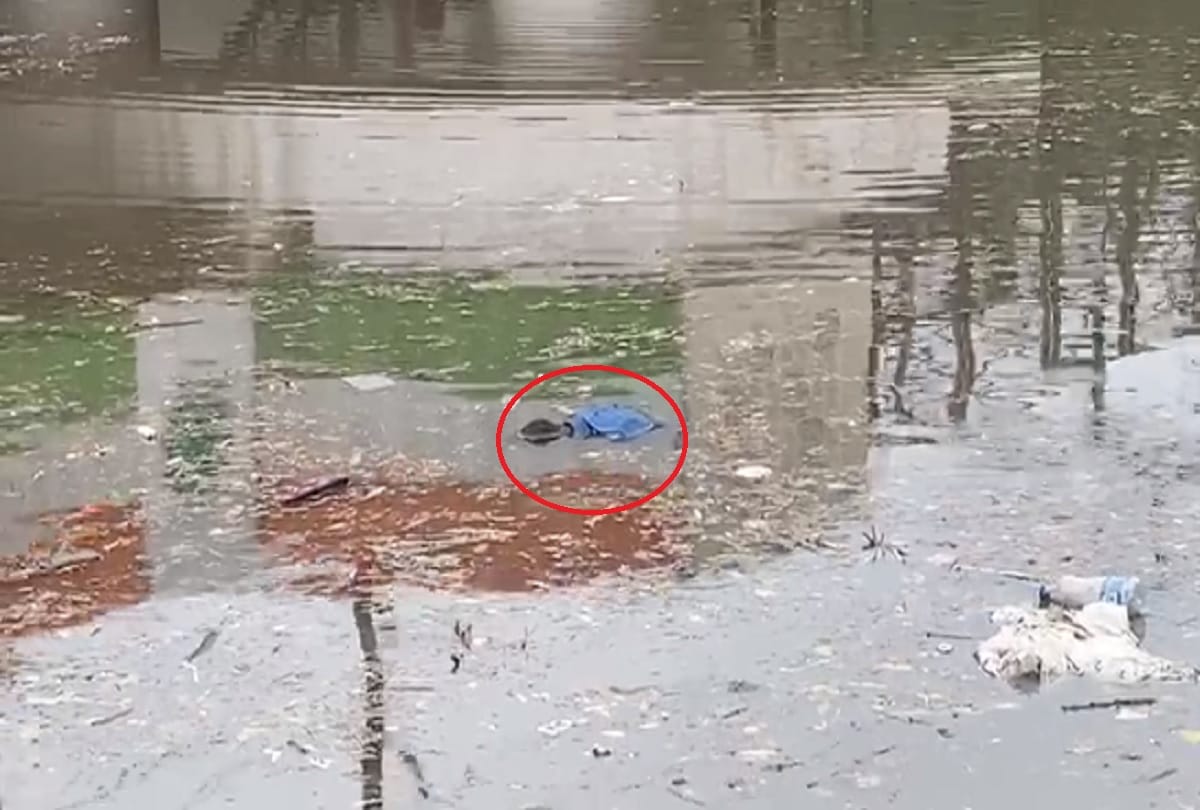 Start With -Person died due to rainfall In delhi news in hindi : deadbody seen floating 