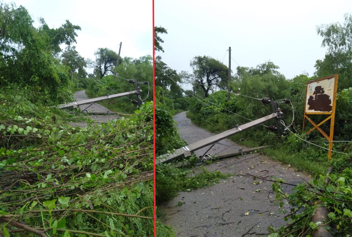 Electric pole and tree fell after heavy rain with strong wind in gorakhpur