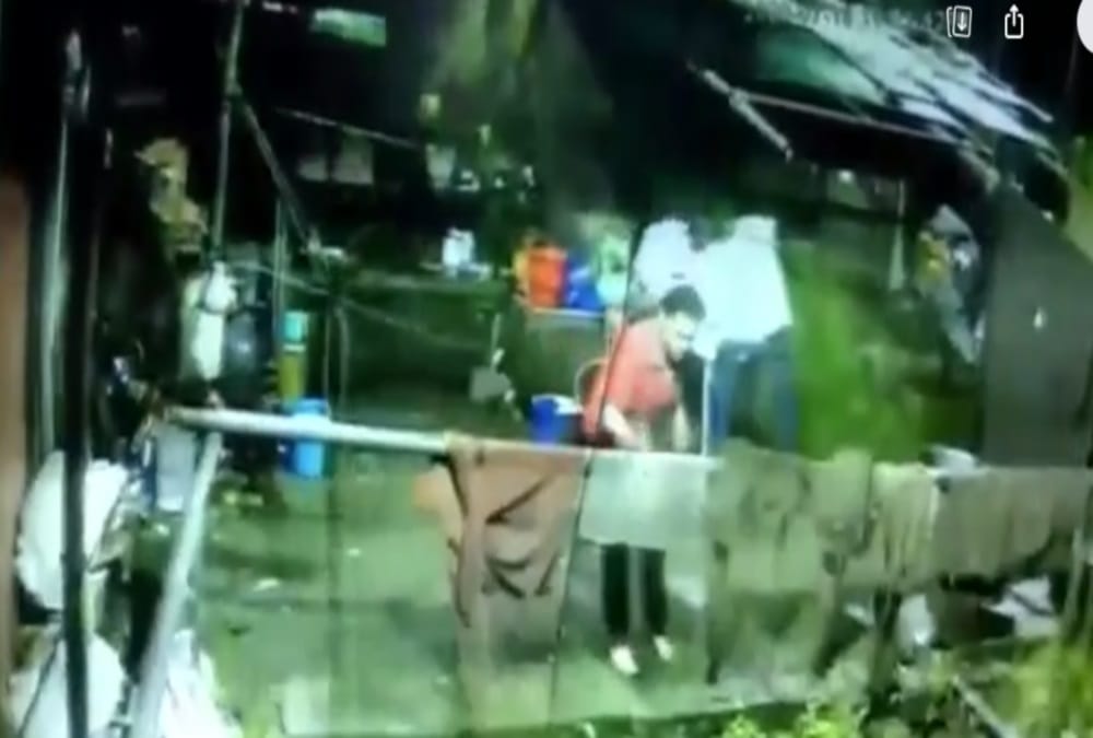 Leopard Attack on Dog and Fight Between them in nainital, Incident Captured in Cctv