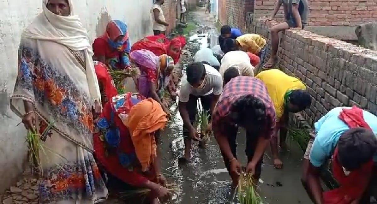 Villagers transplanting paddy on lack of water drainage system in village street chandauli