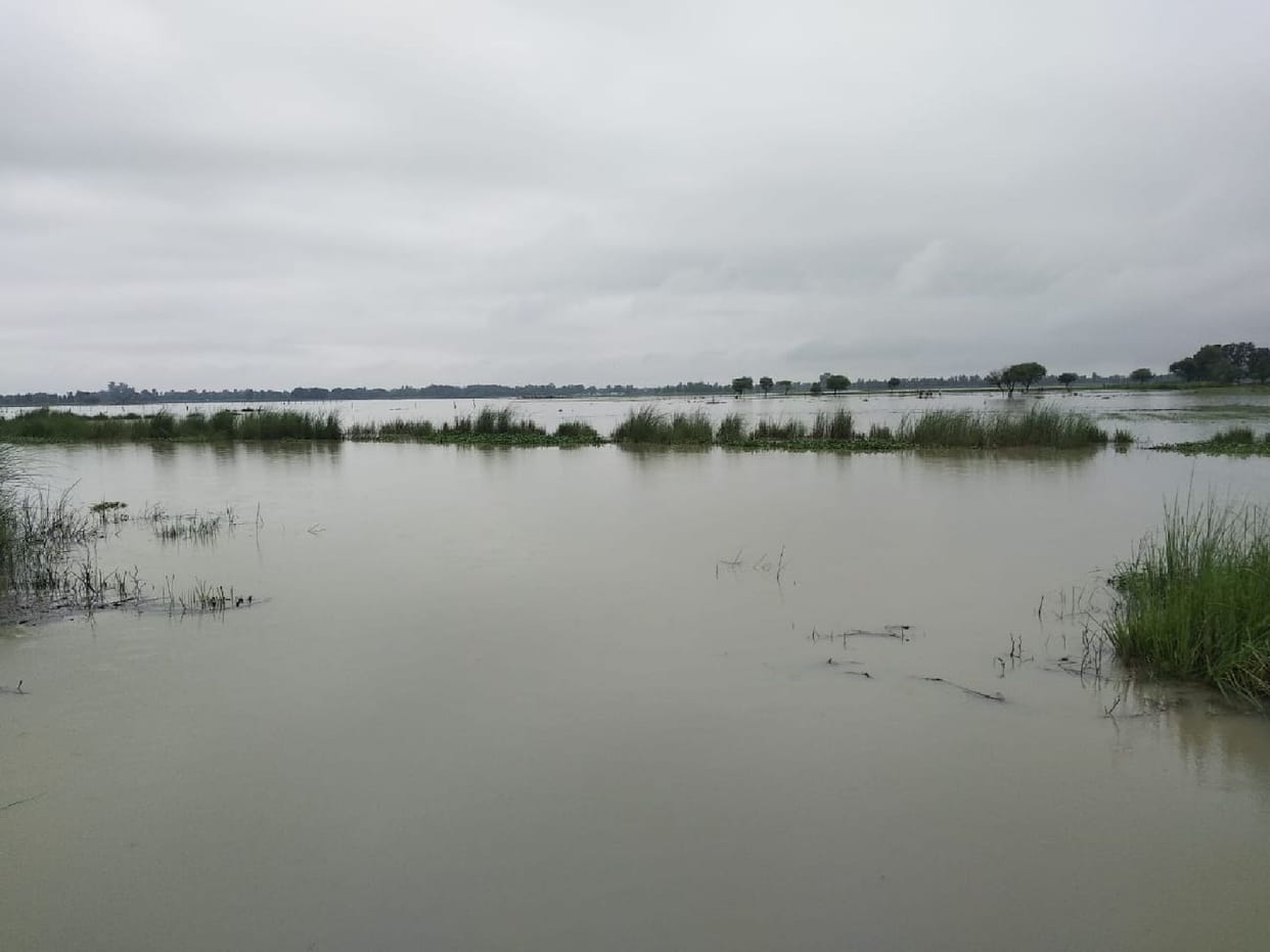 The water released in Minor and Rajbaha was filled in the fields