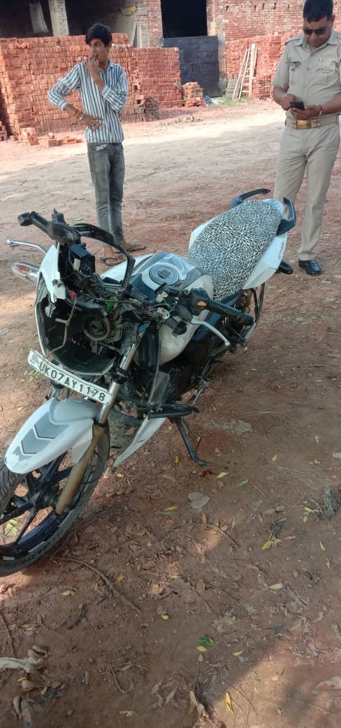 Nile cow collides with bike, youth dies