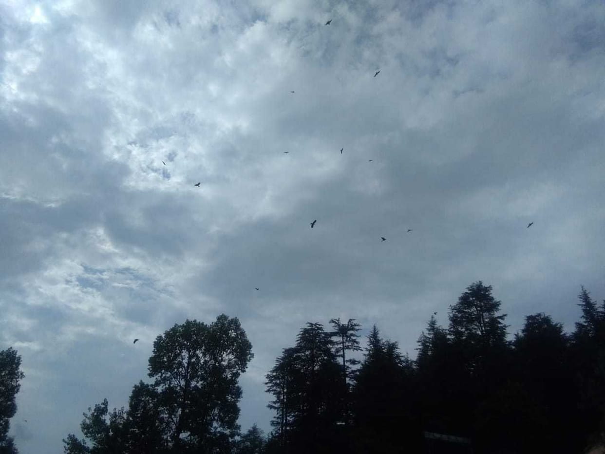 Tiddi dal in Lohaghat