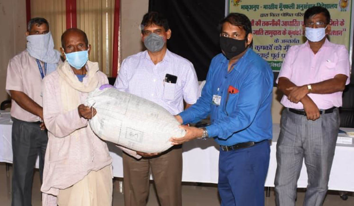 52 farmers distributed peanut seed