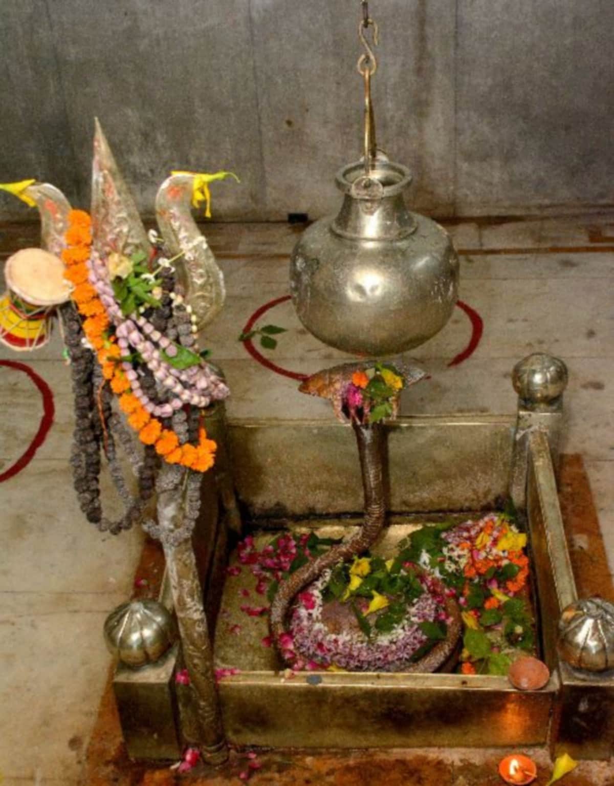 Shiv tandav to sushant singh rajput namo namo shankara and bahubali kaun hai wo shiv geet for mahashivratri