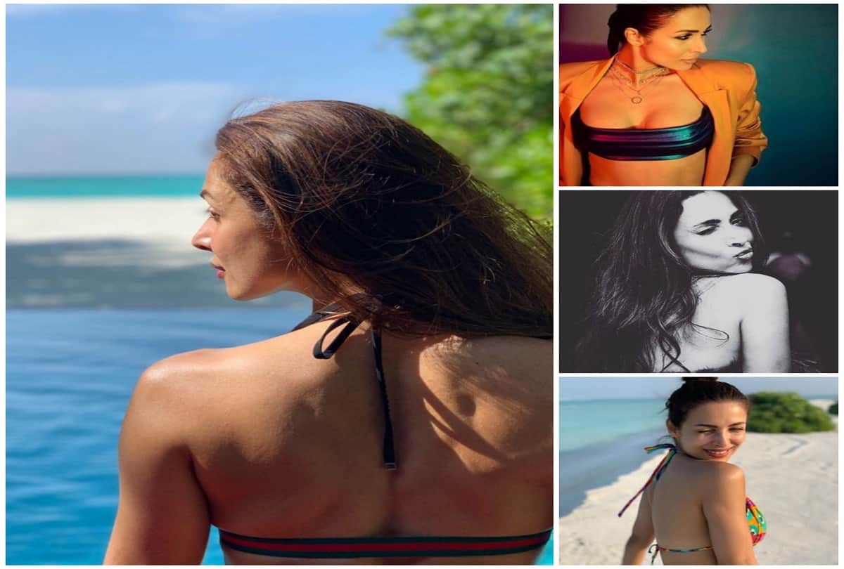 malaika arora bold hot sexy photoshoot images malaika looks stunning in photos malaika arora hot and sexy photo went viral on social media