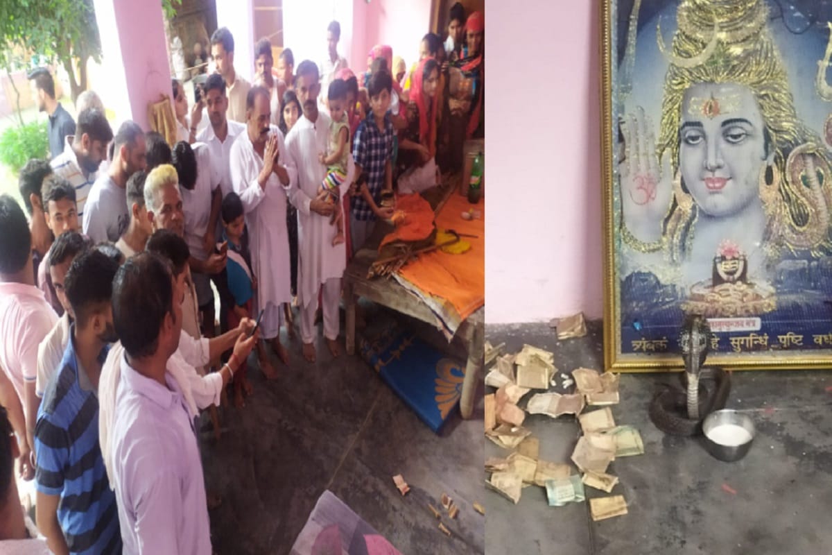 The priest has seen a snake at the Shiva temple in a village in Saharanpur