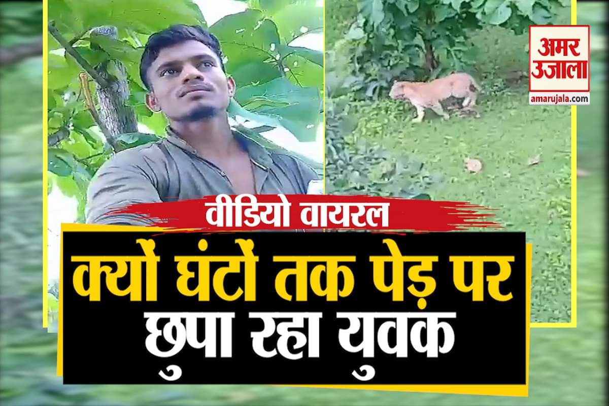 वायरल वीडियो