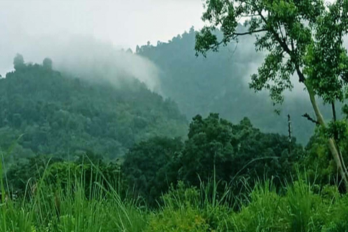 rain in many District of western UP, here is weather update and pictures