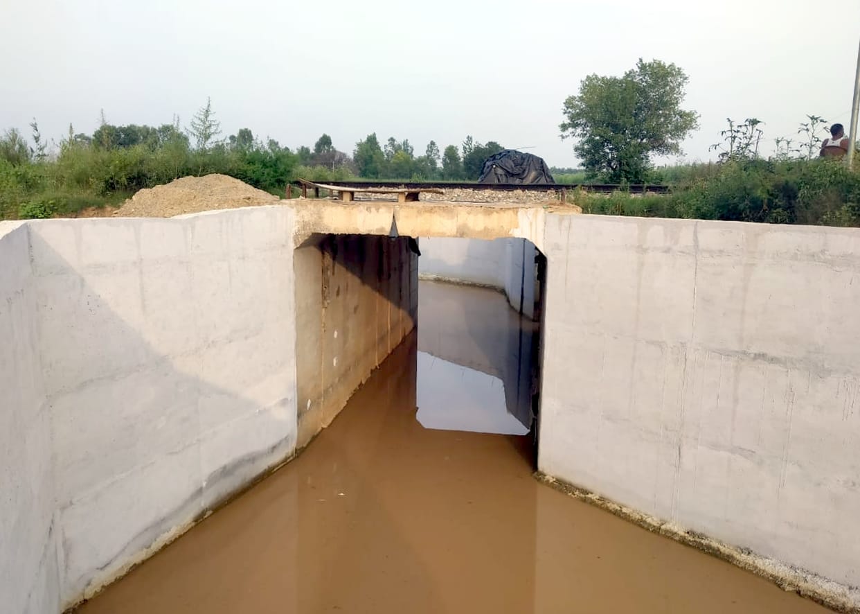 Jhala underpass becomes the base of snakes in the rain
