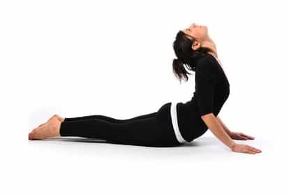 Yoga Asanas For Belly Fat Loss In Hindi Best Yoga Including Plank Yoga Pose Reduce Belly Fat Fast - Amar Ujala Hindi News Live - Yoga Tips:पेट की चर्बी कम करने के