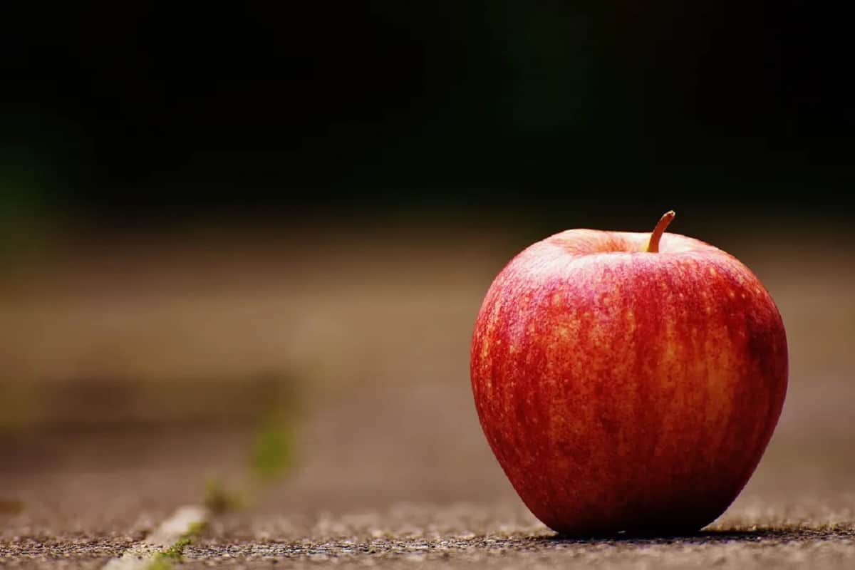 Can Diabetic Patient Eat Apple, know how apple is beneficial for overall health