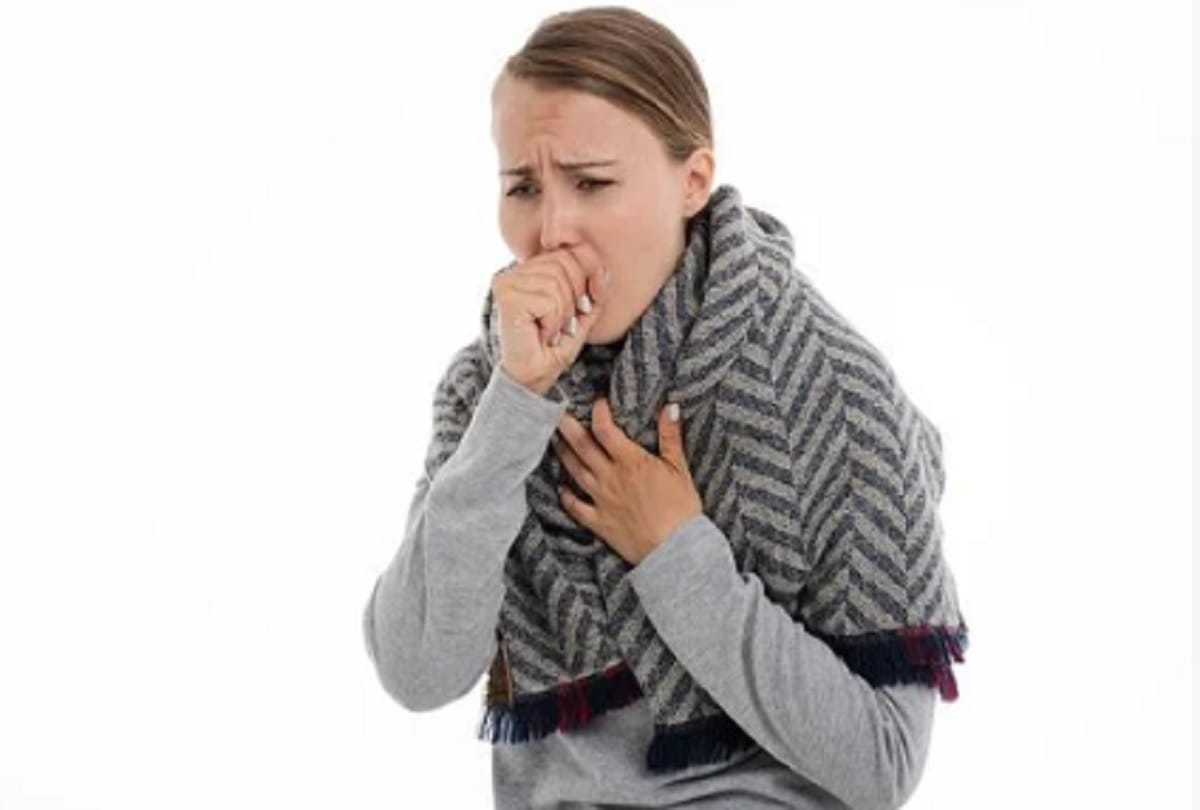 remedy eat betel leaves to cure breathing problems cough cold in hindi