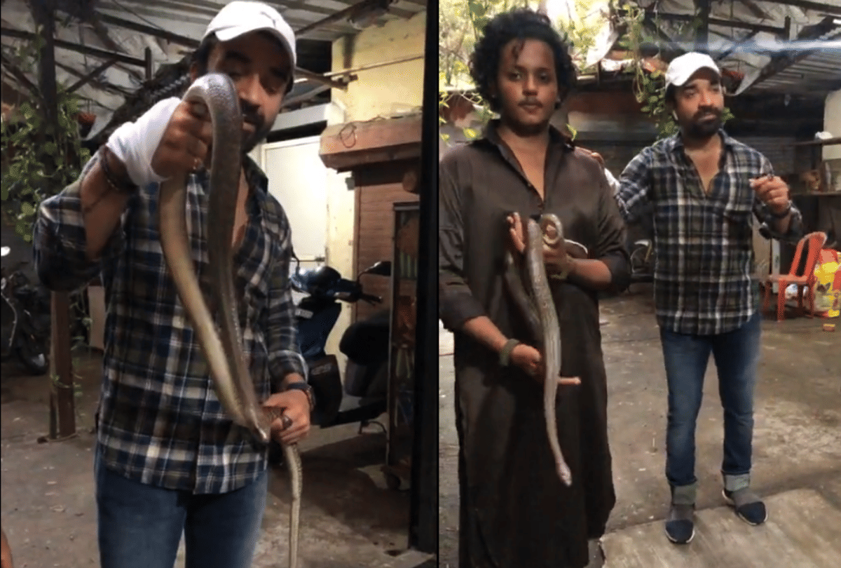 Bigg boss contestant ajaz khan latest news he rescues a snake says even more poisonous people in the world