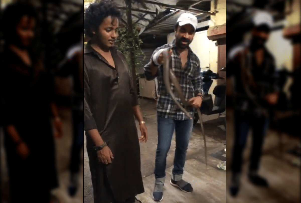 Bigg boss contestant ajaz khan latest news he rescues a snake says even more poisonous people in the world