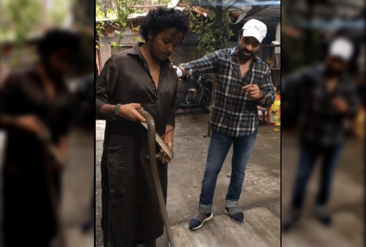 Bigg boss contestant ajaz khan latest news he rescues a snake says even more poisonous people in the world