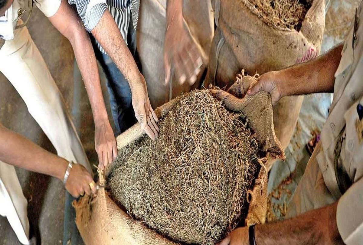 DIR seized 1878 kg of ganja worth 4 crore rupees in Pune, six people arrested