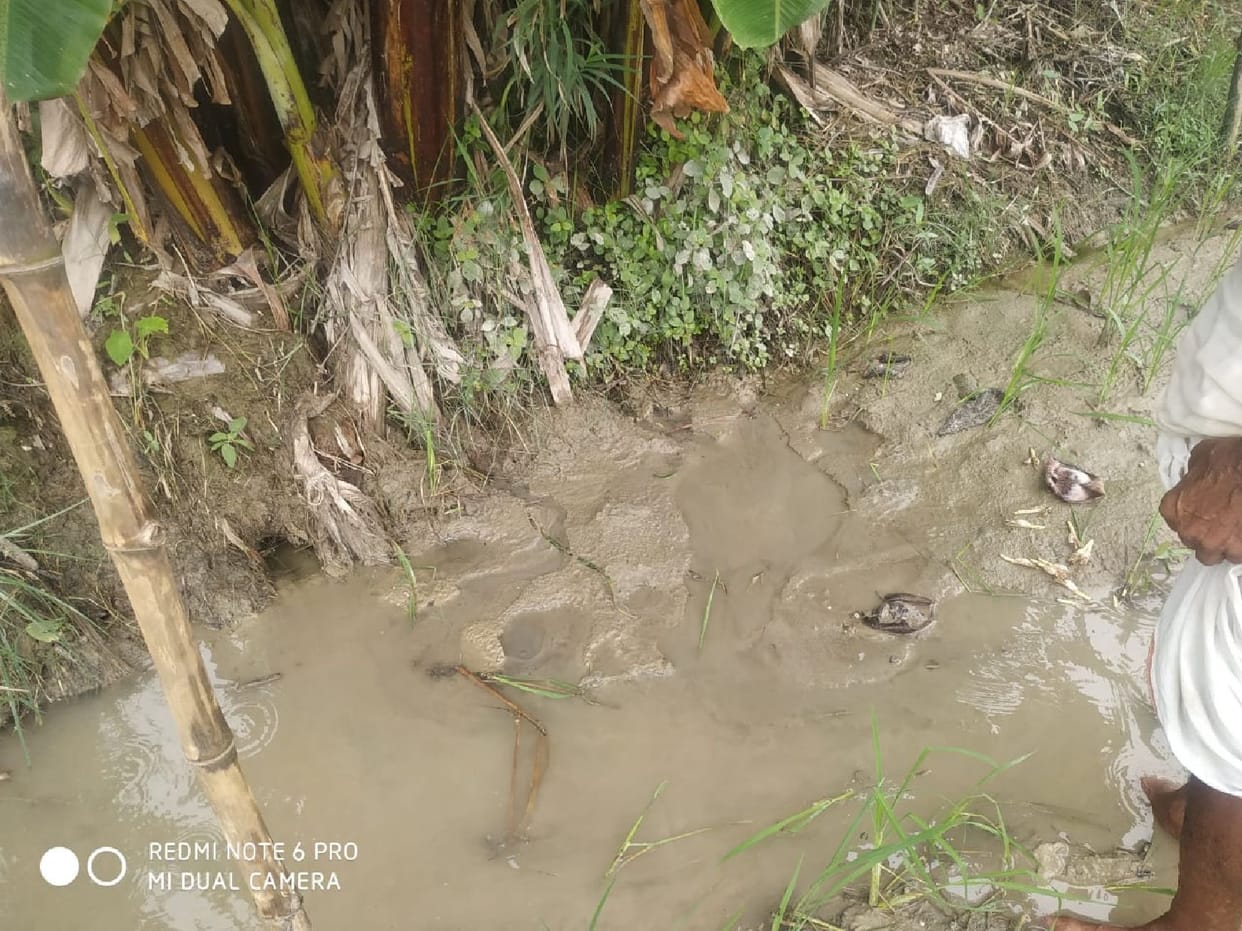 Water leaking from Belha-Behrauli embankment