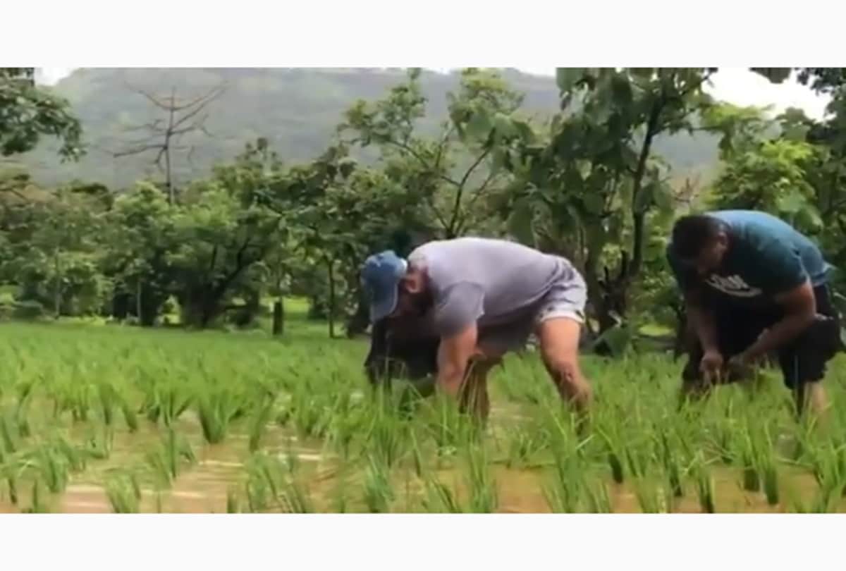 Salman Khan farming photo goes viral on social media