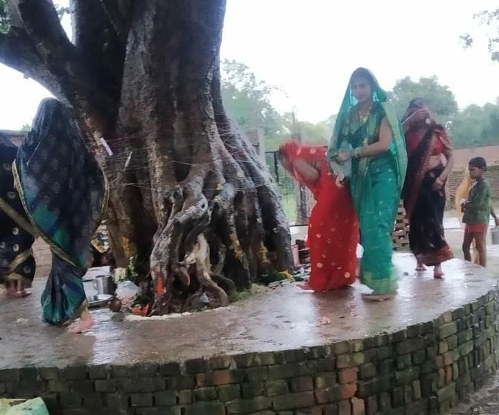 On the occasion of Somavati Amavasya in Doaba, Suhagins worshiped peepal
