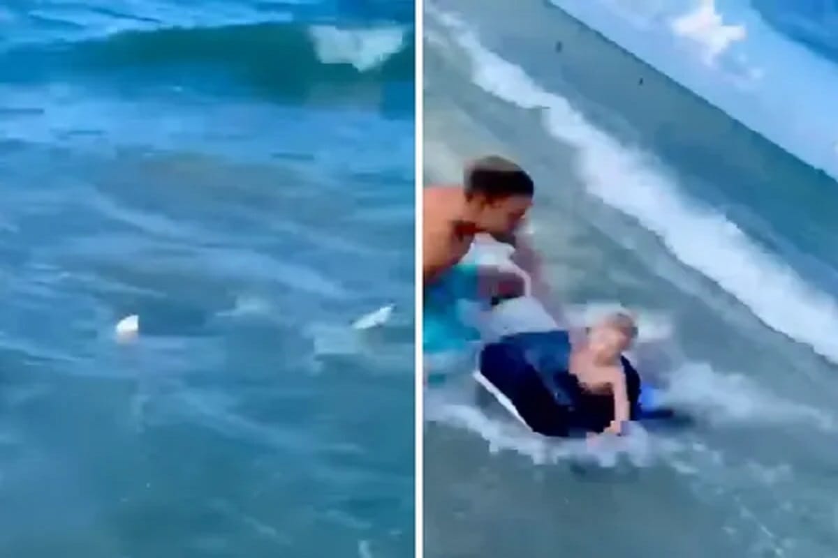 Florida: Cop makes a great save by pulling the child from under the shark jaws, video goes viral