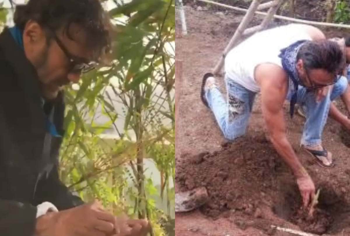 Saif ali khan to salman khan these celebrities farming photos goes viral
