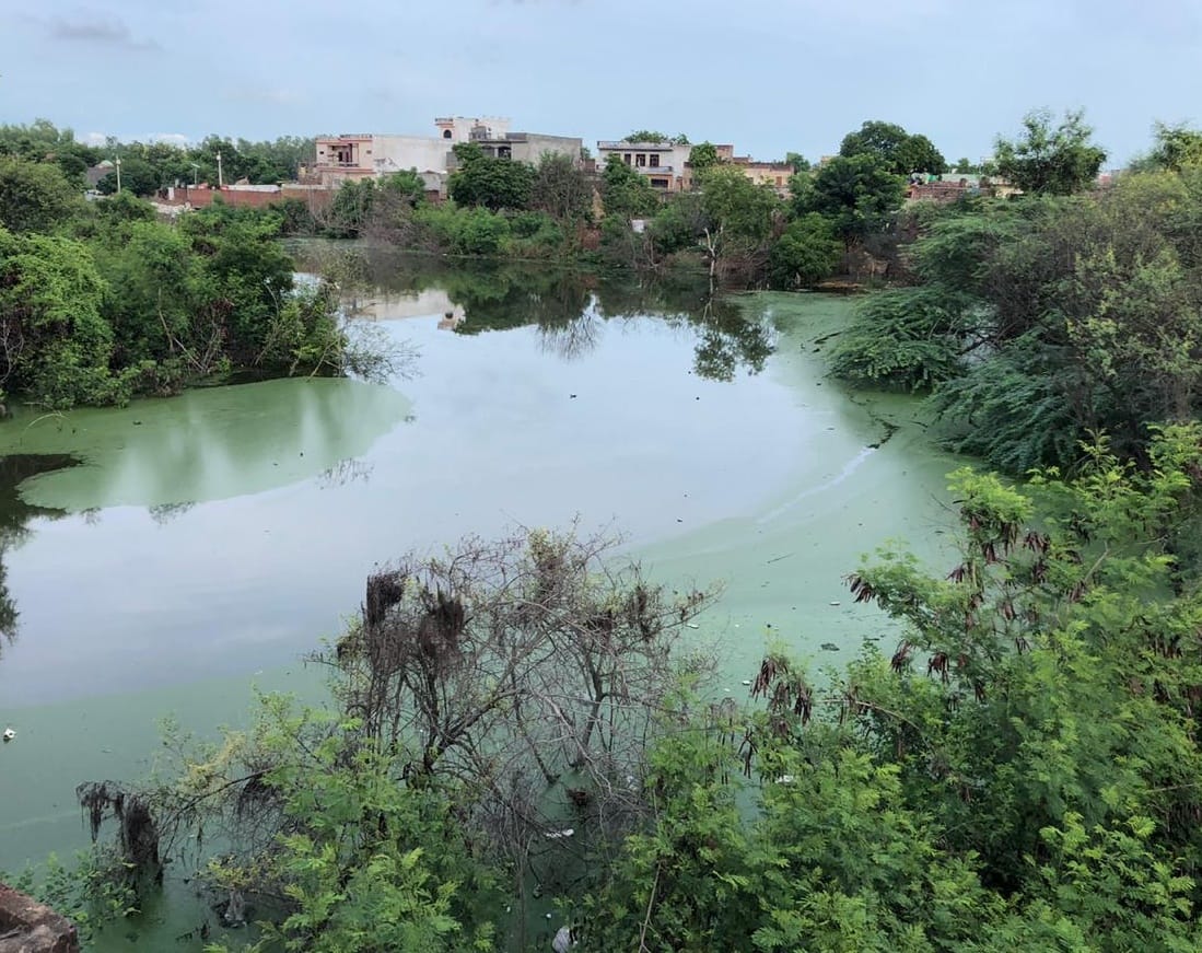 Encroachment threatens the existence of ponds