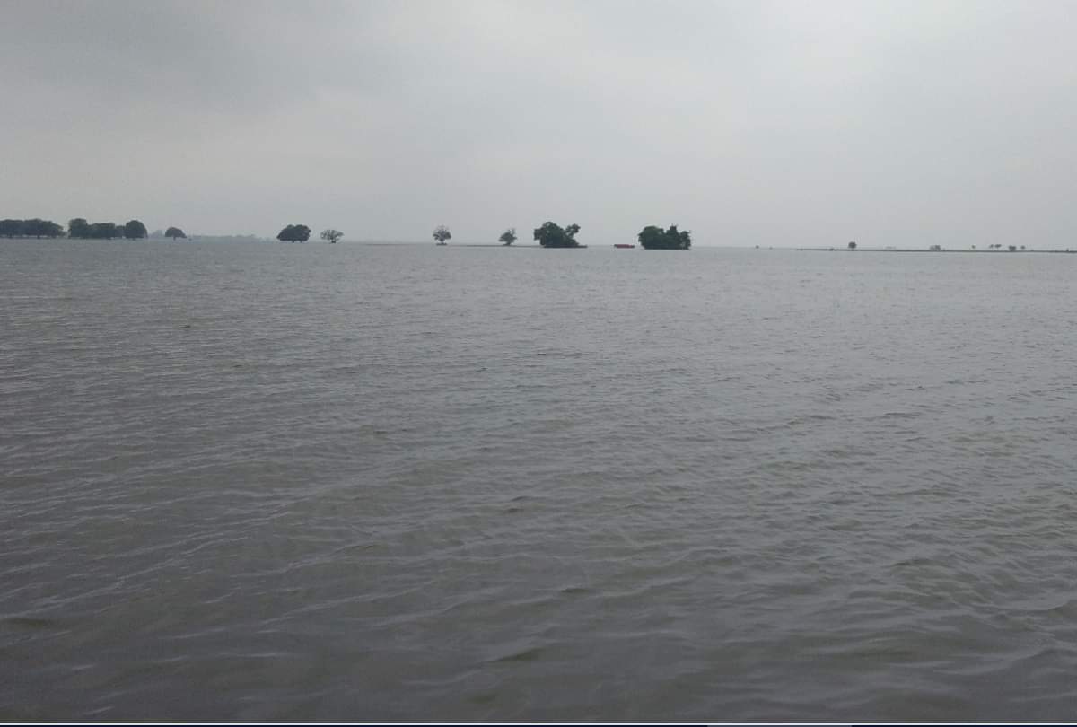 gorakhpur flood news