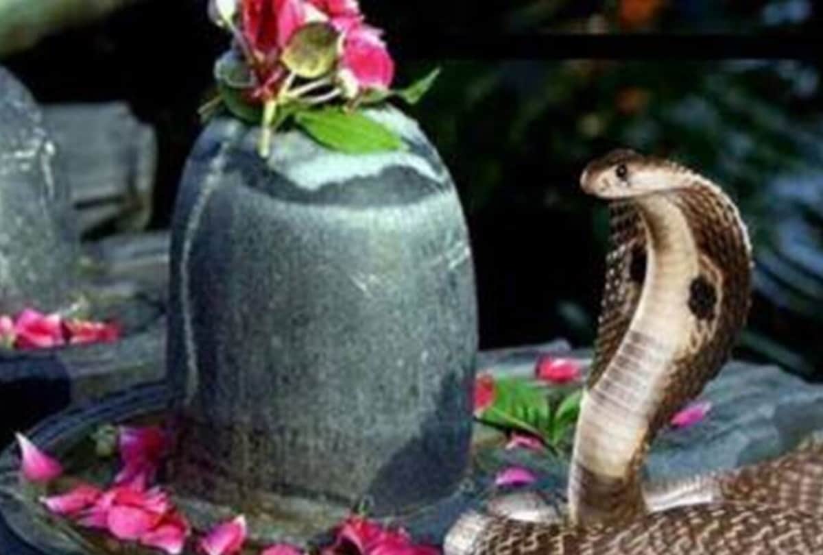 nag panchami 2020 puja date importance of snake worship and nag panchami facts photos
