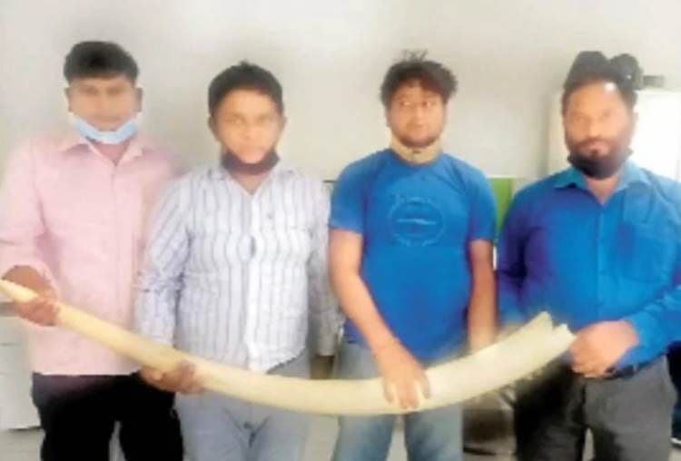 STF arrested four smugglers in lucknow