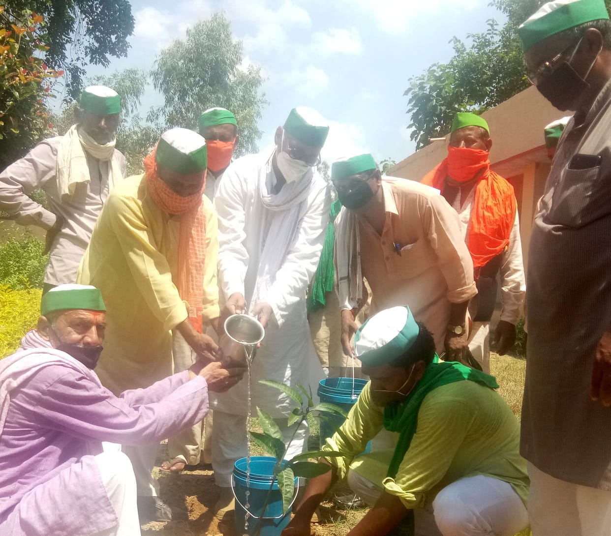 plantation programme in chitrakoot