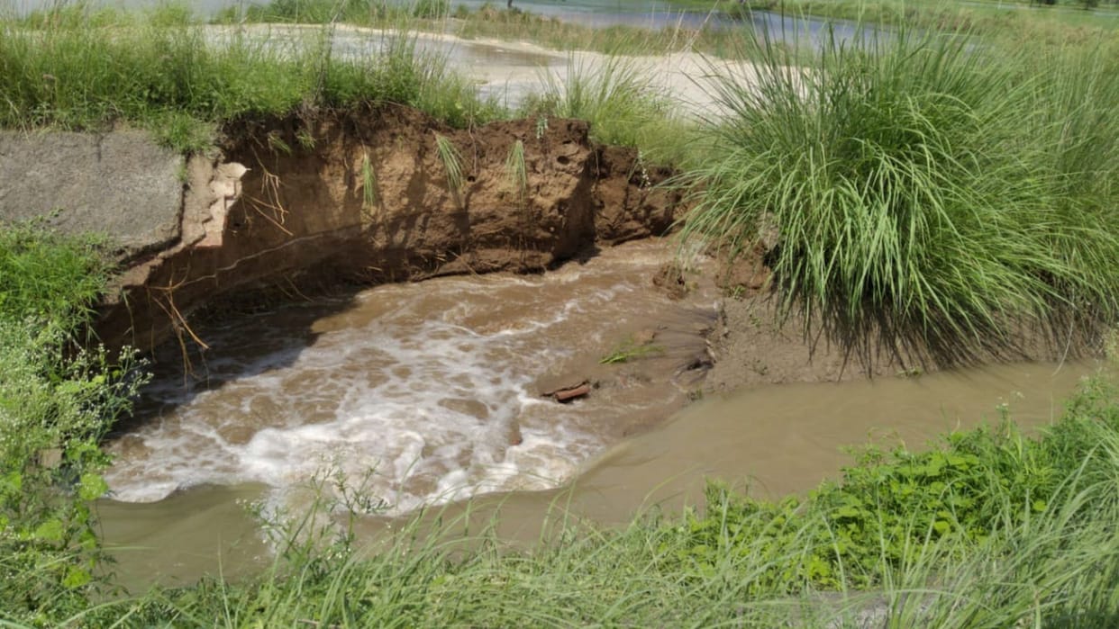 water loging, distributry broke, crops