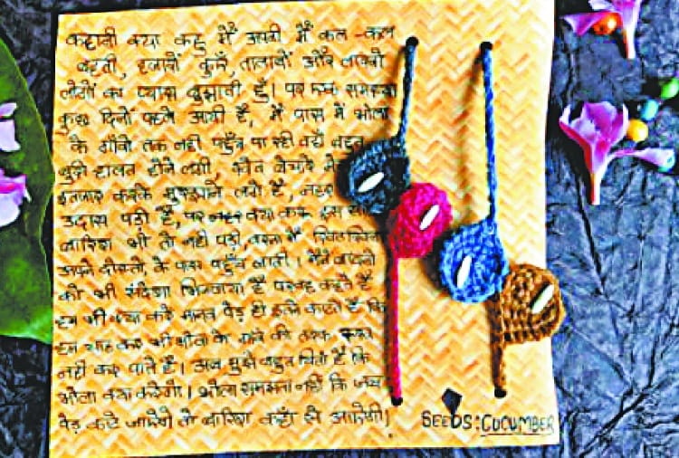 unique rakhi made by using seeds to Gives the message of conservation of nature