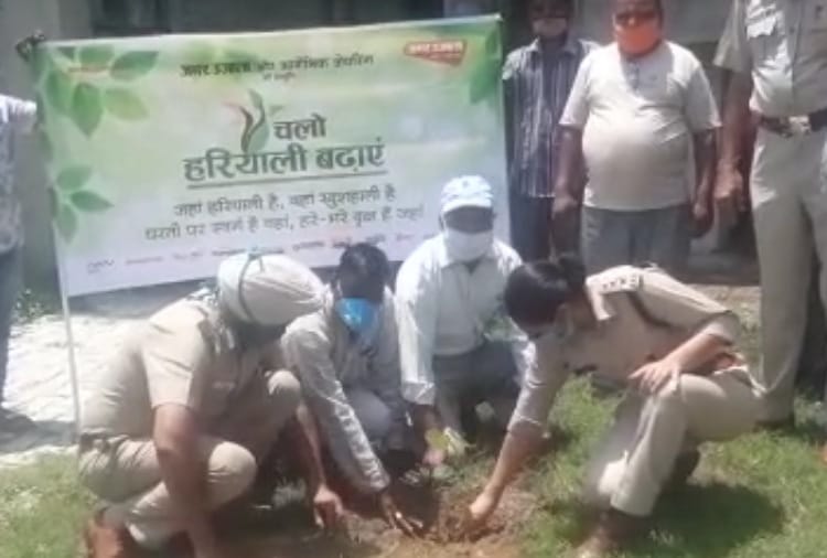 ASP participates in tree planting program