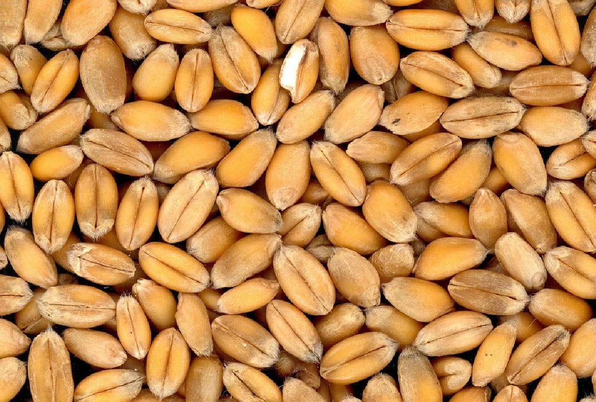 women must take these vitamins for strength in Hindi