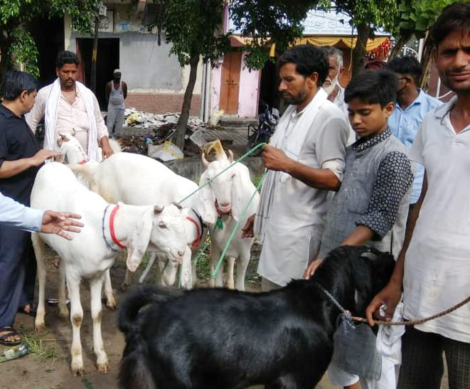 Muslim class, businessmen feared loss in confusion