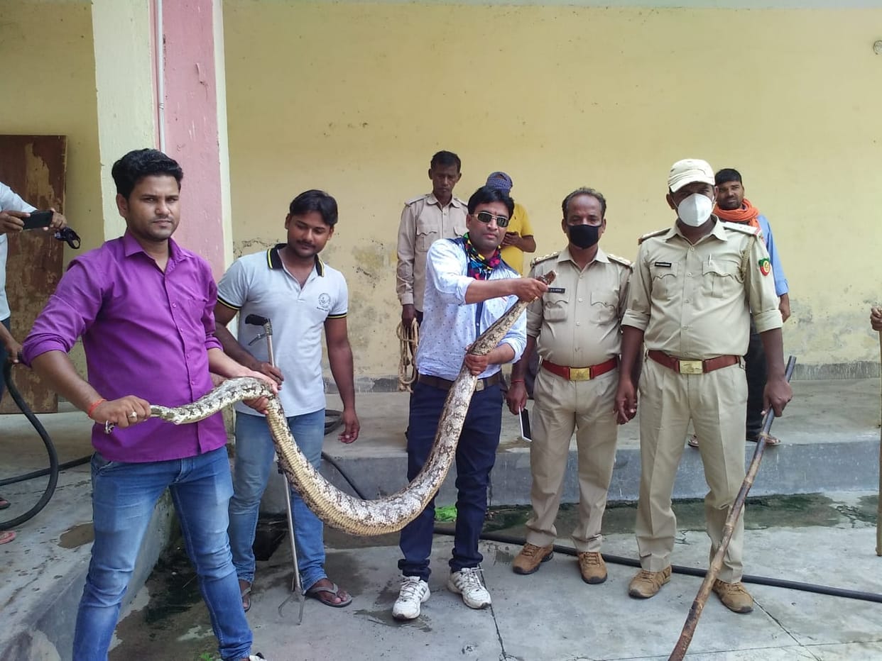 12 feet dragon turned out in polytechnic college