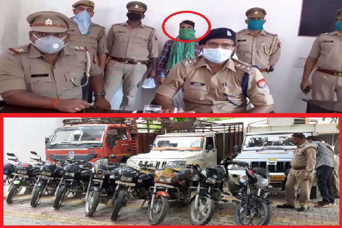 Meerut News: busted vehicle thief gang by hastinapur police and arrested one accused