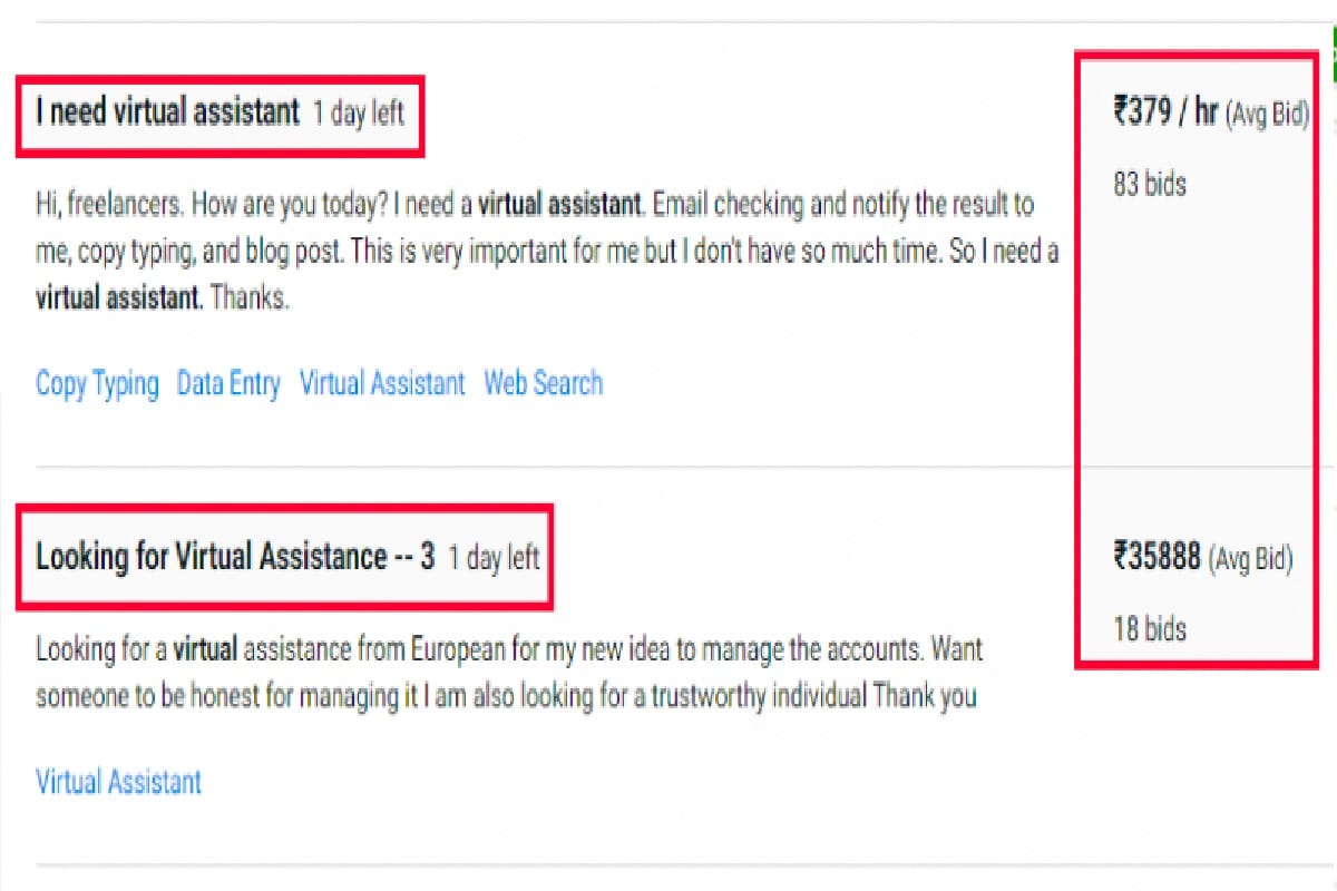 online VA job