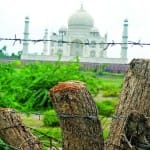 ताजमहल के पीछे बिना अनुमति काट दिया पेड़