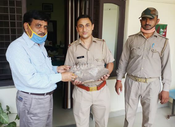 50 million years old fossil sent to Dehradun
