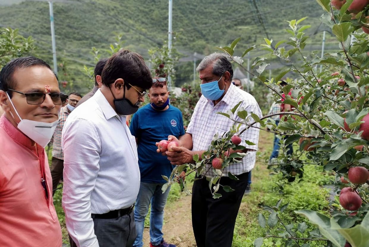 Garden Secretary arrived to see the new technology of apple gardening