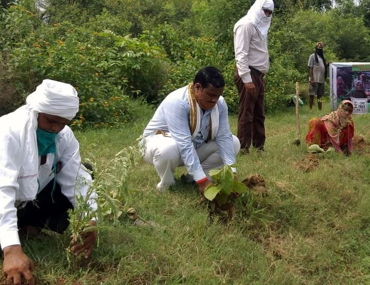 karvee maaphee mein graameenon ko baante 20 hajaar paudhe