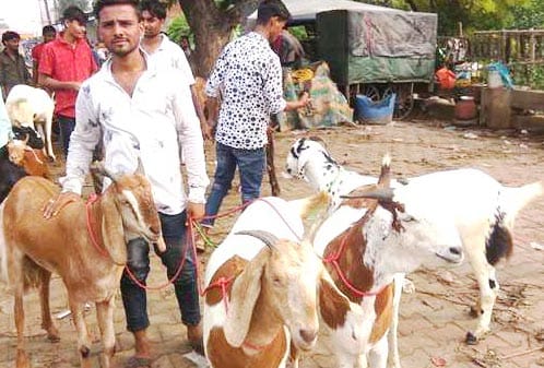 The market did not get started, animals were not getting sacrifice
