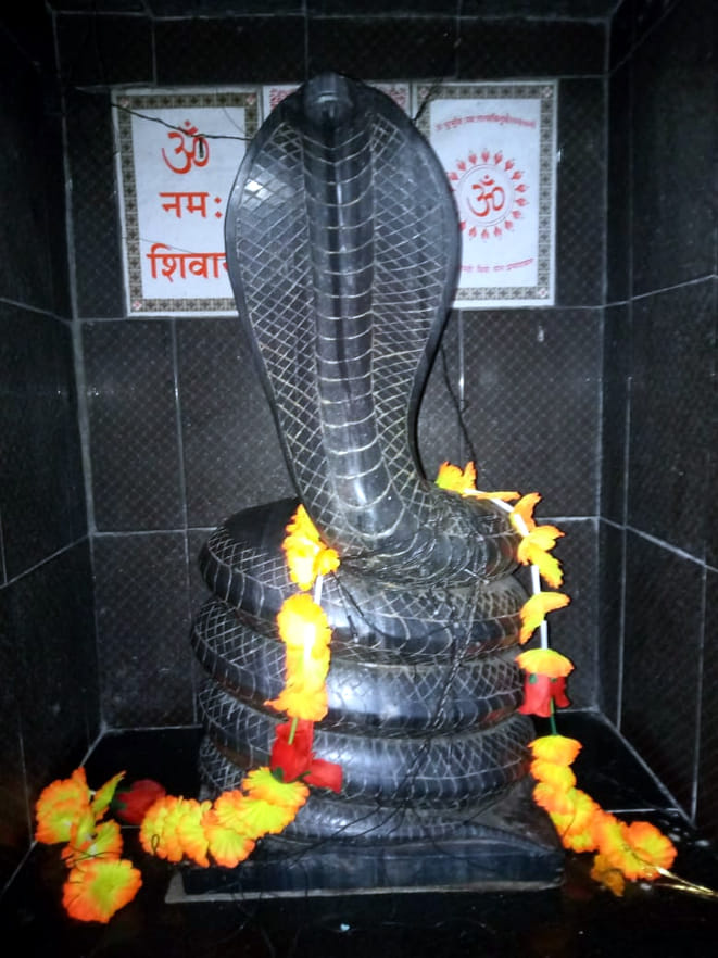 Devotees seek a vow to cure illness here