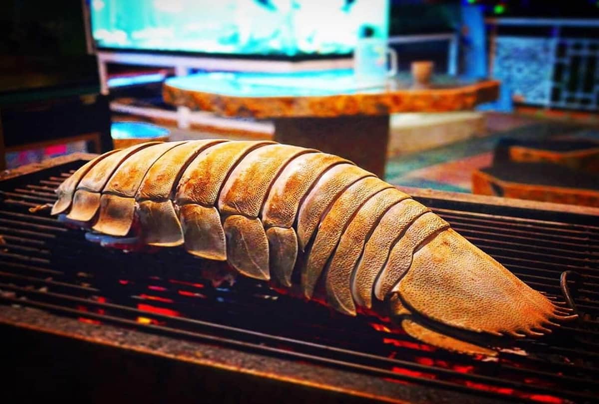 Strange story of Giant cockroach or Super Giant isopod who living in the depths of the sea