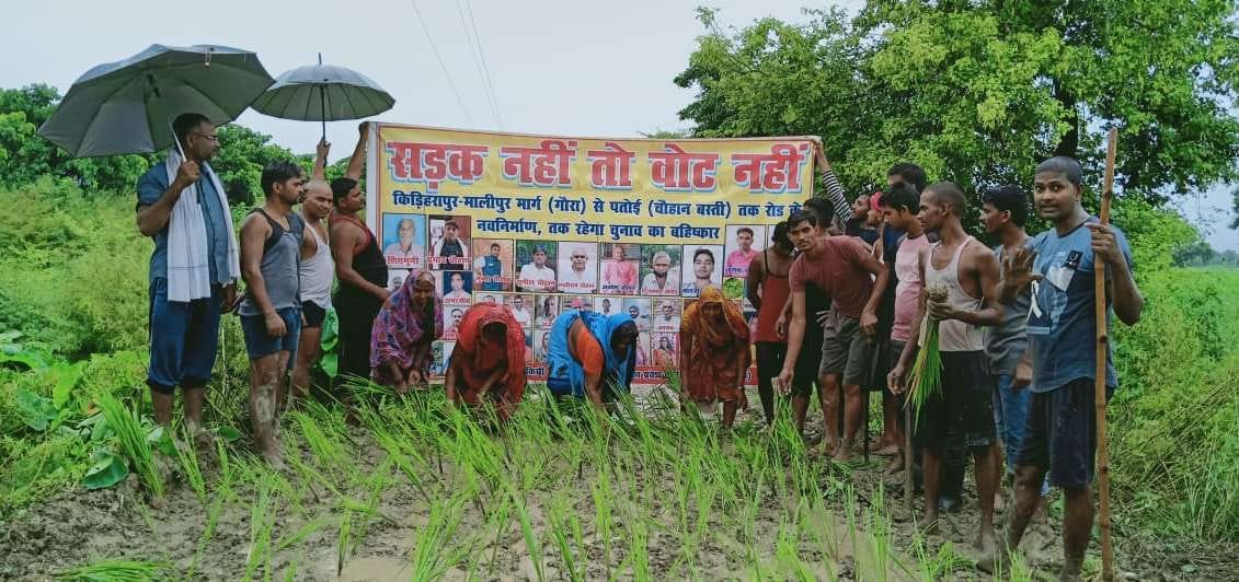 Villagers protested by planting paddy on the road
