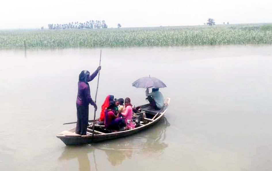 Troubles on Sharda reached below the danger mark