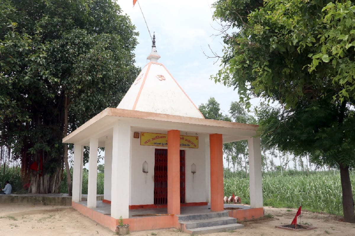 Nag Panchami 2020 Kab Hai: The monastery of the believer sage who stopped the destruction of the snake species is in Bijnor