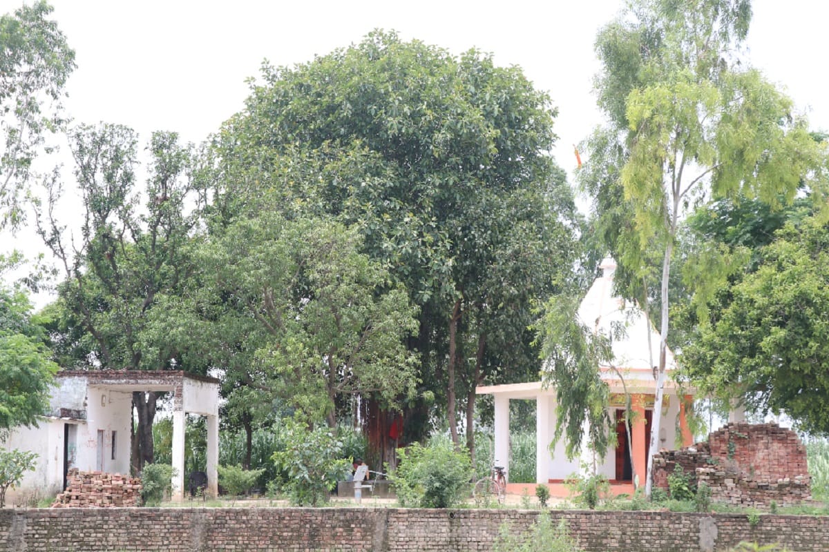 Nag Panchami 2020 Kab Hai: The monastery of the believer sage who stopped the destruction of the snake species is in Bijnor